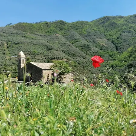 La Casa Di Colombetta Διαμέρισμα *